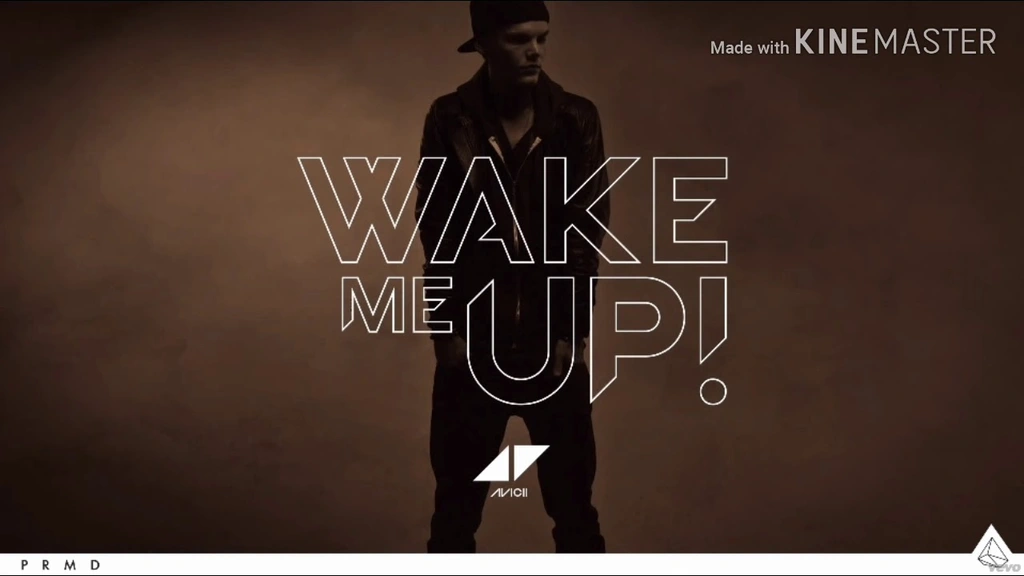 Did Avicii actually sing Wake Me Up?