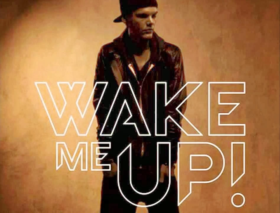 When did Avicii wake me up come out?