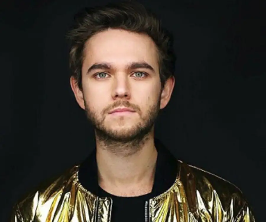What is Zedd famous for?